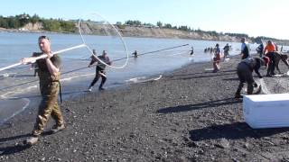 Dip Netting, Kenai River, July 17, 2012