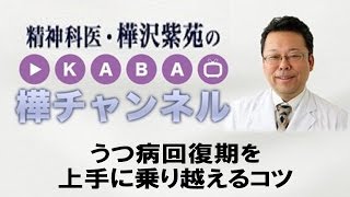 うつ病回復期を上手に乗り越えるコツ【精神科医　樺沢紫苑】