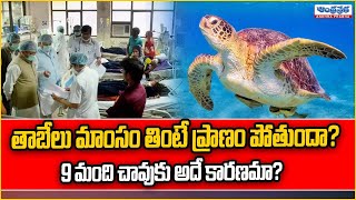 తాబేలు మాంసం తిని 9 మంది మృ*తి | Sea Turtle Meat | Zanzibar Pemba Island | Andhraprabha News