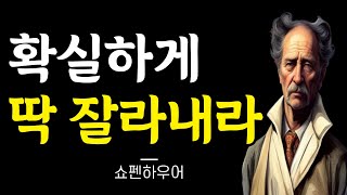 지금 그 사람은 절대로 변하지 않는다 잘라내라 | 쇼펜하우어 | 쇼펜하우어 명언 | 쇼펜하아우어 철학 | 명언 | 지혜 | 오디오