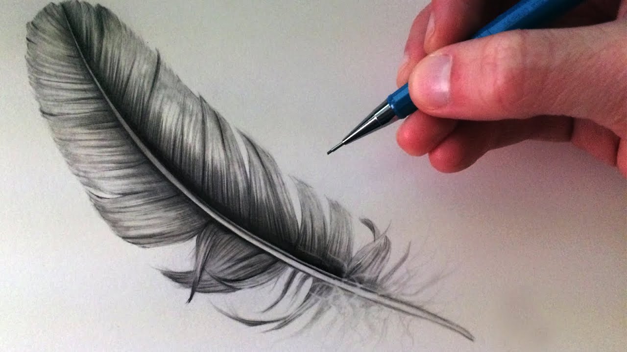 How To Draw A Feather Youtube