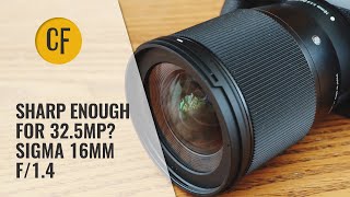 Sharp enough for 32.5mp? Sigma 16mm f/1.4 on a Canon EOS M6 ii (with autofocus test)