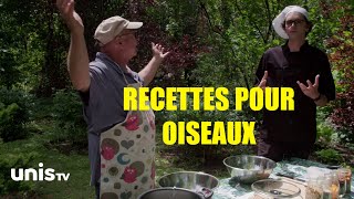 Bien nourrir les oiseaux en toutes saisons!