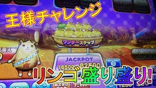 金ピカ高級リンゴを収穫して、超高額キングチャレンジに参加した結果・・！？【メダルゲーム】