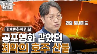 빌딩 높이의 '화염 토네이도', 무려 반년 동안 대륙을 불태운 최악의 호주 산불 #벌거벗은세계사 EP.75 | tvN 221129 방송