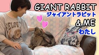 【ジャンボうさぎ！】ツンデレウサギとラブラブタイム！