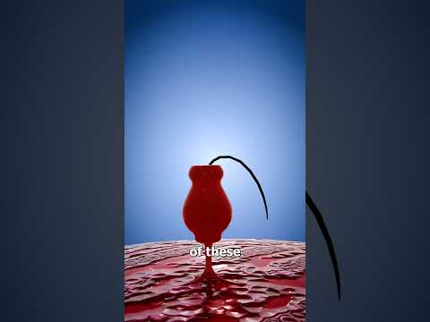 Can earbuds damage eardrum?