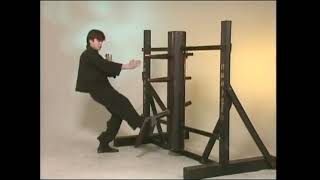 Randy Williams Wing Chun Gung Fu 108 Wooden Dummy Motions