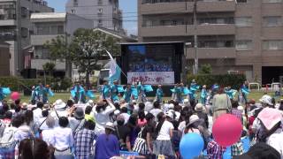 Team湘南＠2015　湘南よさこい