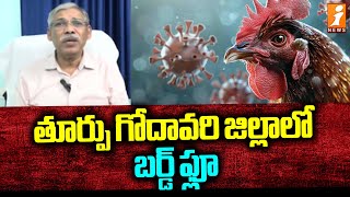 తూర్పు గోదావరి జిల్లాలో బర్డ్ ఫ్లూ | Bird Flu In East Godavari District | iNews