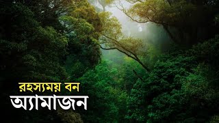 পৃথিবীর সবচেয়ে বড় বন আমাজন জঙ্গলের অজানা তথ্য Amazon jungle The Largest rainforest in the world