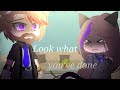 💔-Look what you've done-💔 Not orgl (subscribe;) )|| Gacha club meme || true story