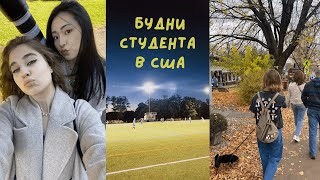 МОИ БУДНИ В АМЕРИКАНСКОМ ВУЗЕ | Vlog | Сложно ли учиться в США?