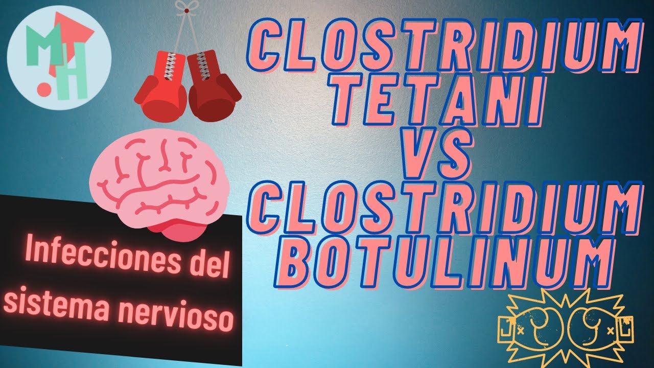 El Enfrentamiento Del AÑO!! Clostridium Tetani VS Clostridium Botulinum ...