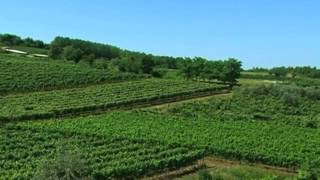 Enjoy green nature - Istria