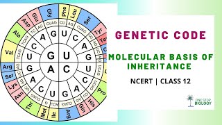 Genetic Code | Molecular Basis of Inheritance | One Stop Biology | NCERT | Class 12 | Chapter 6