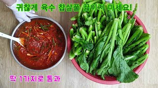 갓 김치 맛있게 담는 특별 비법/5분만에 뚝딱/ 절이는법 /특별양념/여수돌산 갓 김치!