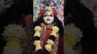 shree Krishna Balram darshan 🙏🙏🙏🙏 hare Krishna moment #iskcon #iskcontemple #vrindavan  #radheradhe