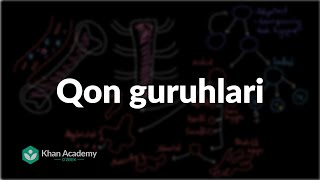 Qon guruhlari | Qon tizimi | Tibbiyot