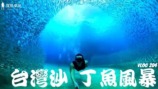 台灣也看的到沙丁魚風暴，沙丁人與沙丁魚的自由潛水共游｜探險威狼 Wilang Explorer ｜屏東秘境｜墾丁 ｜沙丁魚風暴｜海洋｜自由潛水｜帆船石｜Vlog 204