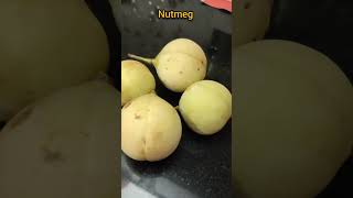 Have you ever tasted Nutmeg Fruit