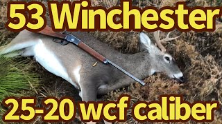 Hunting with the Winchester 53  25-20 wcf