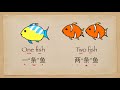 Learn Chinese measure words/ how to use measure words in Chinese-如何用汉语中的量词