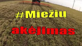 Pavasaris 2021/Мiežių akėjimas/bandymas/No-till