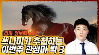 정통경마 쓰나미가 추천하는 8월 4주차 경마 관심마 빅 3 🎠 | 정통경마 쓰나미!