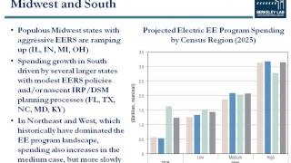 The Future of Utility Customer-Funded Energy Efficiency Programs in the United States