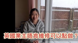 移民英國 ｜ 業主唔肯維修 ｜ 可以點做？ | 英國生活 vlog