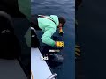 🎣 HAND-FISHING: Catching Fish With BARE HANDS! 🎣