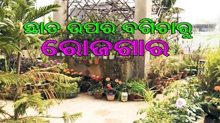 ଛାତ ଉପରେ ଔଷଧୀୟ ବୃକ୍ଷ ଦେଉଛି ରୋଜଗାରର ସୁଯୋଗ | Micro Enterprise from Rooftop Garden