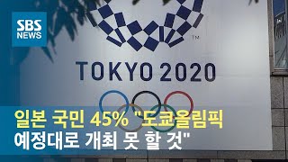 일본 국민 45% \