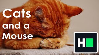 HackerRank- Cats and a Mouse | One-line Solution Explained | C++