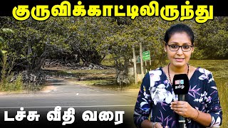 சரசாலையின் குருவிக்காட்டிலிருந்து டச்சு வீதி வரை | Vanakkam Thainadu | Jaffna Travel