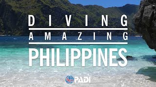 Diving the Amazing Philippines 🦈