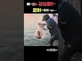 돔 ~ 돔 ~ 감성돔 ~ 광어~ 광어~ 광어~ 투망 fishing 바다투망 감성돔 광어 신지도 신지도투망