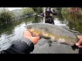 salmon fishing at green river wa