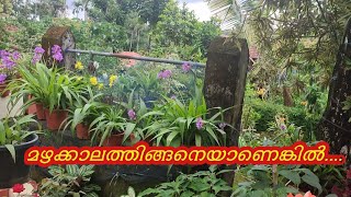 ഗാർഡൻ ടൂർ|garden tour|anjusnest|