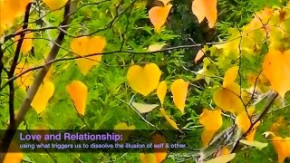 Jon Bernie | Love & Relationships: using what triggers us to dissolve the illusion of self & others