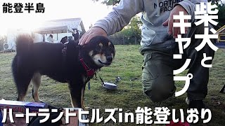 過去最大のピンチ!?柴犬とキャンプでまさかの出来事が!【ハートランドヒルズin能登いおり】【豆柴】【黒柴犬】