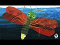 the very hungry caterpillar song eric carle animated stories the very busy spider sing along