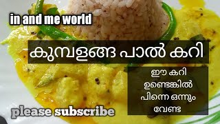 kumbalanga Paal curry / കുമ്പളങ്ങ പാൽക്കറി / Malayalam cooking video /in and me world/ tasty curry/🥰