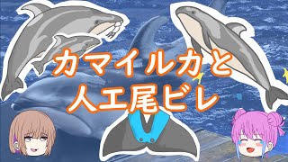 【人工尾ビレ】尾ビレを失ったカマイルカ、ラナン【ゆっくり解説】