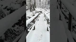 The crunch of snow🤤 #winter #snow #asmr