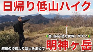 【日帰り低山】金時山越しの富士山見たくて初心者に人気な明神ヶ岳へウキウキ登ってみたら悲しみの事態に…富士スポット巡り第5弾