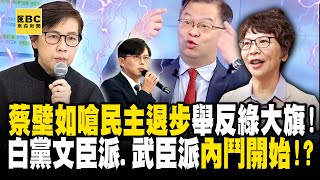 血滴子蔡壁如出手嗆「民主退步」舉起反綠大旗！ 民眾黨文臣派、武臣派內鬥開始！？【關鍵時刻】 @ebcCTime