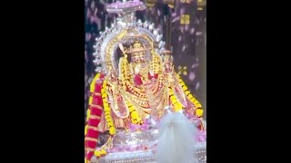 ✨🙏சித்தர்கள் சீடர்கள் பல கோடி🙏✨ | வருவாண்டி தருவாண்டி மலையாண்டி🙏🔥 | Murugan WhatsApp Status 🙏💚✨