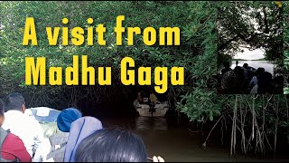 සුන්දර මාදු ගගේ සංචාරයක් | A visit from Madhu Gaga 🌊 | With Solo Seeker